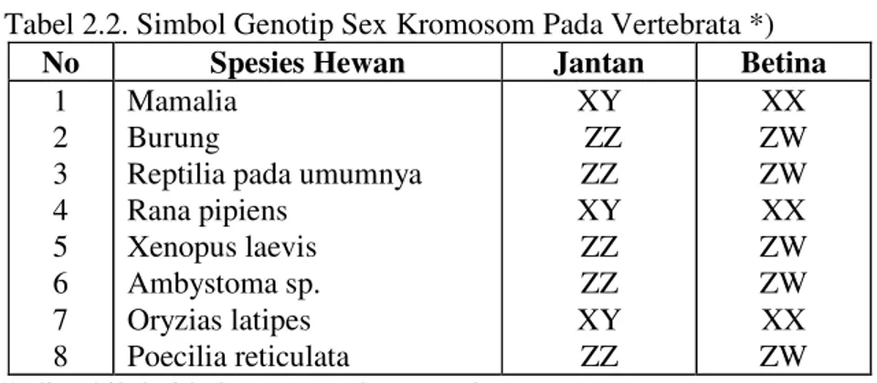 Tabel 2.3.  Homologi Antara Sistem Reproduksi Hewan Betina dan Jantan (diambil dengan  sedikit modifikasi dari Reproductive Physiology of Mammals and Birds, A.V