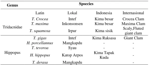 Tabel 4. Jenis Kima yang ditemukan dan Nama lokalnya 