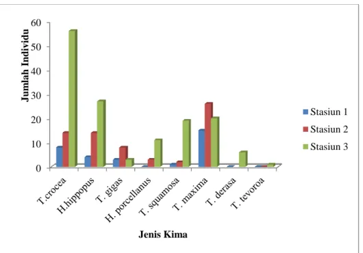 Gambar 6. Grafik perbandingan jumlah individu kima per stasium  Kelimpahan Relatif 