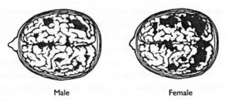 Gambar 2 Area-area otak yang digunakan untuk berbicara dan  berbahasa. Institute of Psychiatry, London, 2001