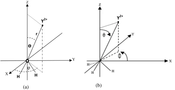 Gambar III.1 Geometri dalam koordinat kartesian : (a) sistem Y 2+ -H 2 O dan (b) sistem Y 2+ -NH 3