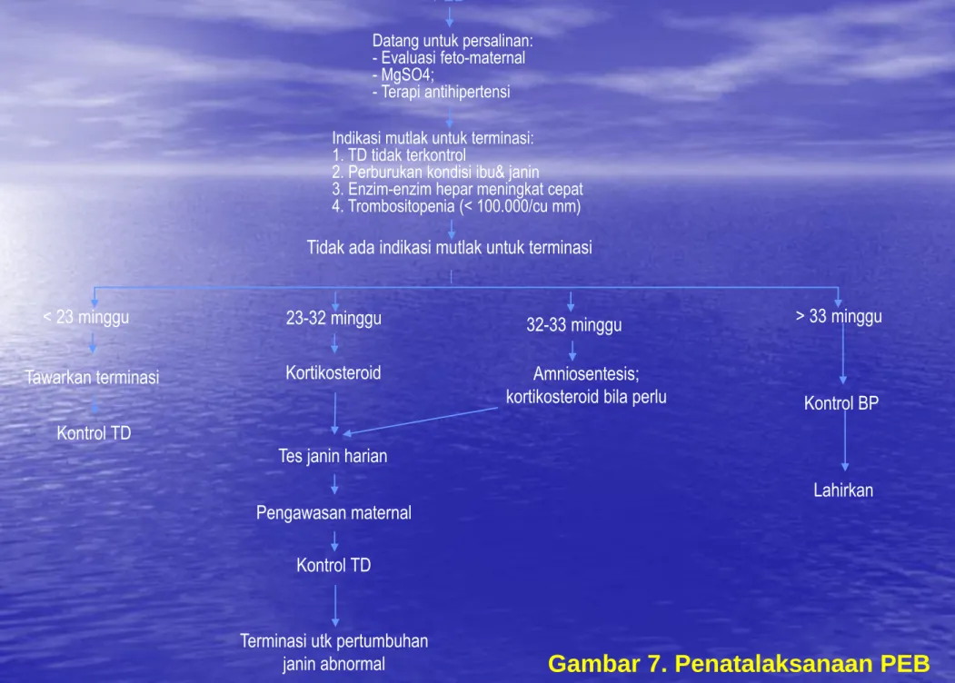 Gambar 7. Penatalaksanaan PEB 