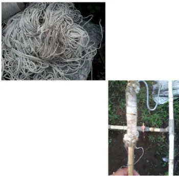 Gambar 11. Tali kasur dan kail bambu yang digunakan untuk membuat ajir