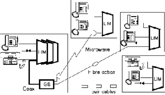Gambar 3. Konektivitas hubungan antar LIM  Koneksi  antarLIM  melalui  GSM  dapat  dibangun  melalui  berbagai  media  transmisi,  seperti  kabel  koaksial,  pair  kabel,  fiber  optics,  dan  microwave