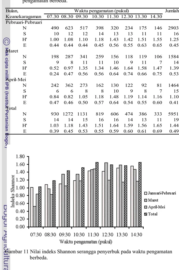Gambar 11 Nilai indeks Shannon serangga penyerbuk pada waktu pengamatan  berbeda. 