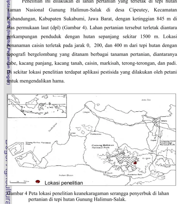 Gambar 4 Peta lokasi penelitian keanekaragaman serangga penyerbuk di lahan  pertanian di tepi hutan Gunung Halimun-Salak.