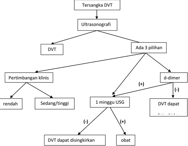 Gambar 2. Diagram Pendekatan Diagnosis DVT (+)  (-) (+) (-) Tersangka DVT Ultrasonografi DVT Ada 3 pilihan obat Pertimbangan klinis 1 minggu USG  d-dimer 