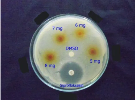 Gambar  1.  Hasil  uji  aktivitas  antibakteri  ekstrak  etanol  buah  adas  (Foeniculum  vulgare  Mill.) terhadap S