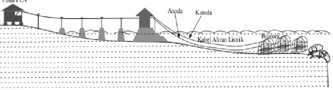 Gambar 2. Ilustrasi denah sistim biorock di perairan Pulau Siladen.