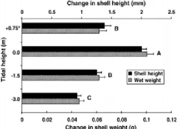 Gambar 9. Rata-rata perubahan tinggi cangkang dan berat  basah juvenil L. littorea selama lebih dari 4 minggu  pada ketinggian pasang surut yang berbeda