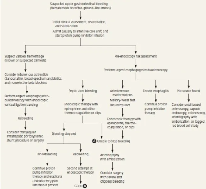 Gambar 2.7. Bagan manajemen penatalaksanaan pasien dengan perdarahan  saluran cerna bagian atas (Sumber : Wilkins, 2012)
