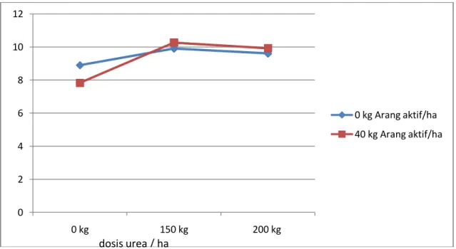 Tabel  3.  Rata-rata  jumlah  anakan  padi  umur  30  HST  akibat  interaksi  antara  urea,  arang  aktif  dan  zeolit 