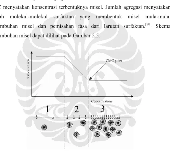 Gambar 2.5. Skema pertumbuhan misel [22]