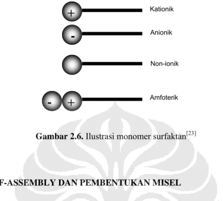Gambar 2.6. Ilustrasi monomer surfaktan [23]
