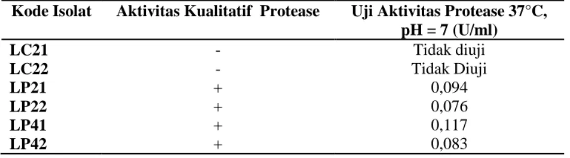 Tabel 3. Hasil uji  kualitatif dan aktivitas protease Bacillus sp  Kode Isolat  Aktivitas Kualitatif  Protease  Uji Aktivitas Protease 37°C, 