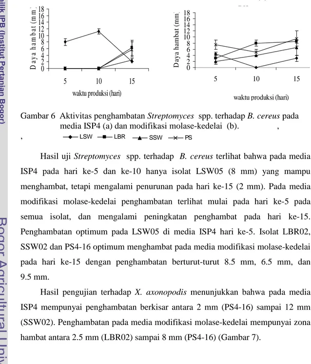 Gambar 6 Aktivitas penghambatan Streptomyces spp. terhadap B. cereus pada media ISP4 (a) dan modifikasi molase-kedelai (b)