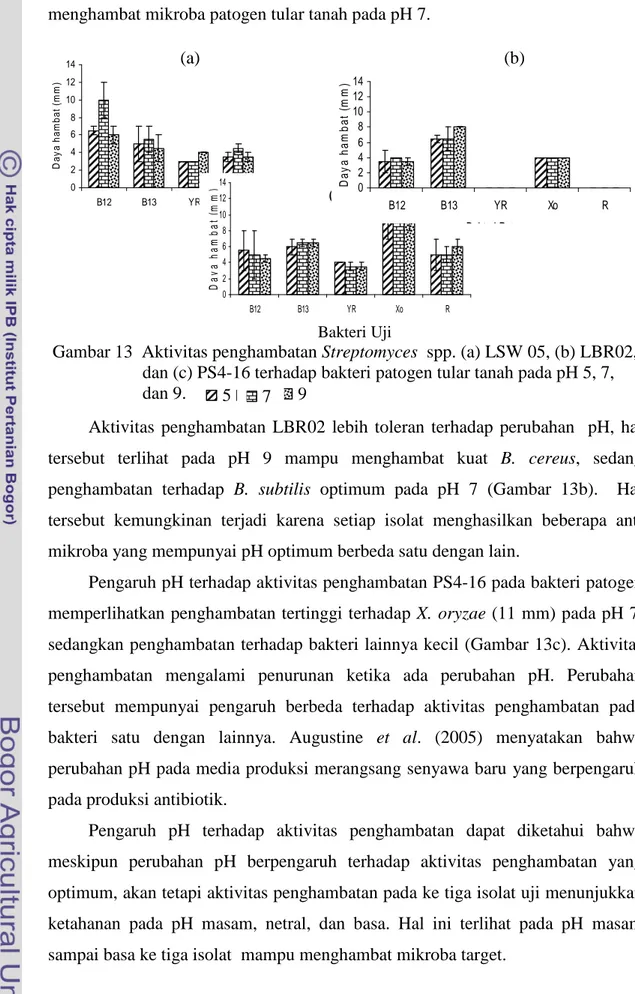 Gambar 13 Aktivitas penghambatan Streptomyces spp. (a) LSW 05, (b) LBR02, dan (c) PS4-16 terhadap bakteri patogen tular tanah pada pH 5, 7, dan 9.