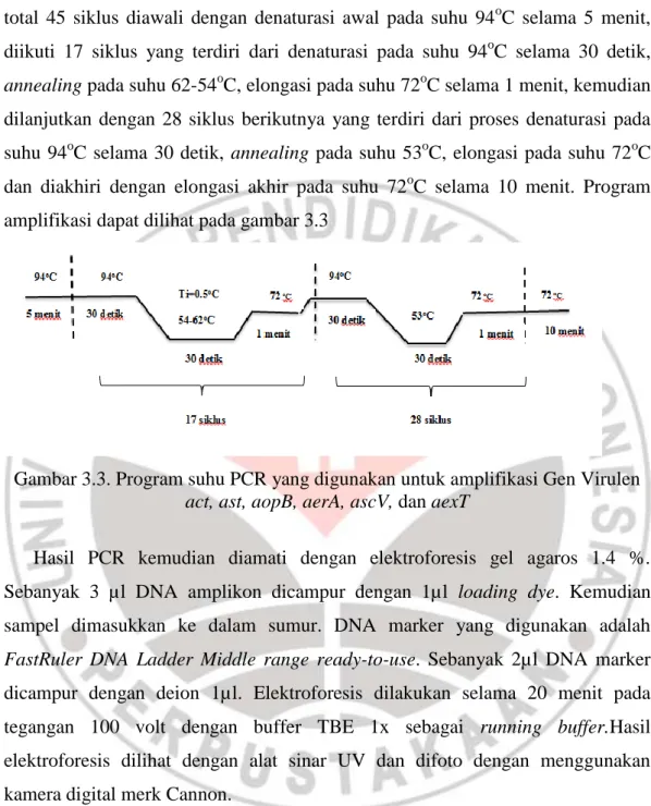 Gambar 3.3. Program suhu PCR yang digunakan untuk amplifikasi Gen Virulen  act, ast, aopB, aerA, ascV, dan aexT  
