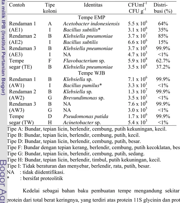 Tabel 3  Dua jenis bakteri yang dominan dari EMP dan WJB yang tumbuh pada  media PCA  Contoh  Tipe  koloni  Identitas CFUml -1CFU g-1  Distri-  busi (%)  Tempe EMP  Rendaman 1  (AE1)  A I  Acetobacter indonesiensis Bacillus subtilis*  5.5 x 10 63.1 x 10 6 