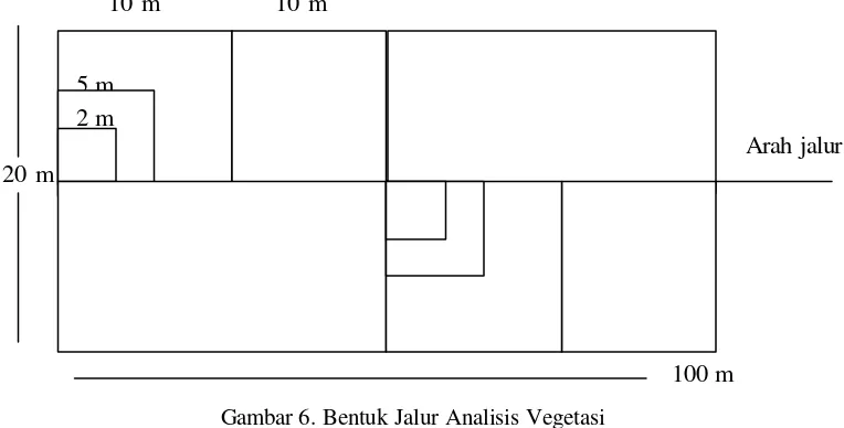 Gambar 6. Bentuk Jalur Analisis Vegetasi 
