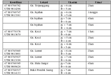 Tabel 2. Jejak kaki kambing hutan sumatera 