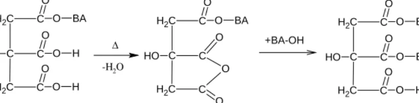 Gambar 4. Reaksi pemanasan lebih lanjut pada BA-Sitrat akan menghasilkan cross-link BA- BA-sitrat [6,9,11] 
