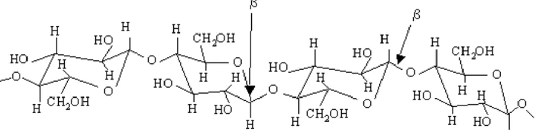 Gambar II.1.  Struktur selulosa (Kocurek, 1993) 