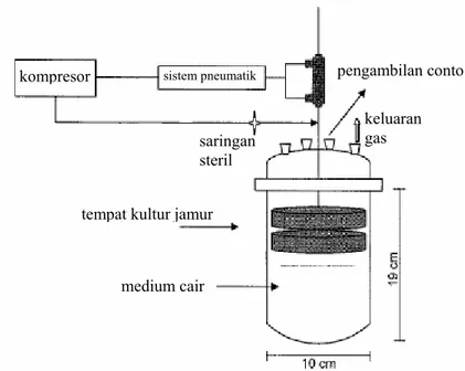 Gambar II.9.  Skema bioreaktor imersi produksi lakase (Couto dkk, 2004)                                  Pada penelitian ini juga akan digunakan prinsip dari temporary immersion 
