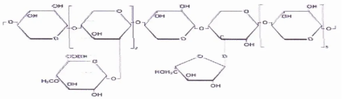 Gambar 2.4. Bangun molekul hemiselulosa 