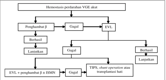 Gambar 1.  Algoritme Pencegahan Perdarahan Berulang VGE. ISMN (Isosorbid mononitrat); EVL  (ligasi varises endoskopi); TIPS (transjugular intrahepatic portosystemic stent shunt) Diadaptasi dari: Lo GH