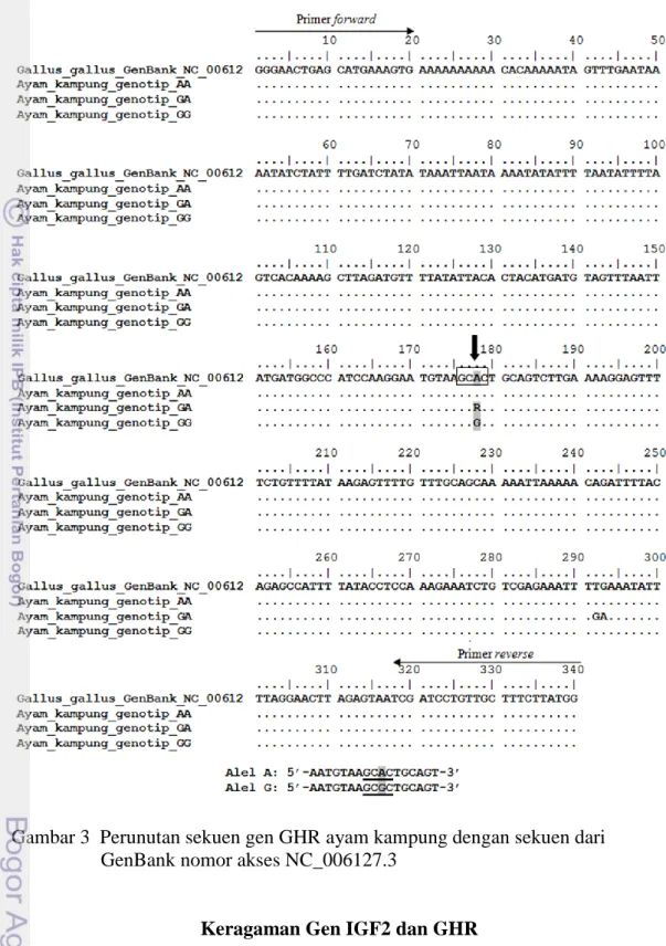 Gambar 3  Perunutan sekuen gen GHR ayam kampung dengan sekuen dari        GenBank nomor akses NC_006127.3 