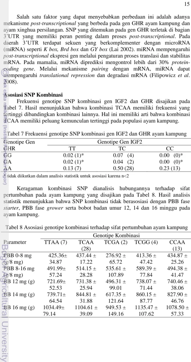 Tabel 7 Frekuensi genotipe SNP kombinasi gen IGF2 dan GHR ayam kampung  Genotipe Gen 