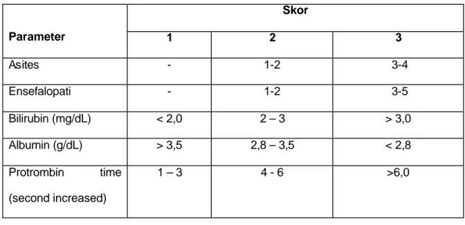 Tabel 1 . Klasifikasi sirosis hati berdasarkan modifikasi Child – Pugh   Skor  Parameter  1  2  3  Asites  -  1-2   3-4  Ensefalopati  -  1-2   3-5  Bilirubin (mg/dL)  &lt; 2,0  2 – 3  &gt; 3,0  Albumin (g/dL)  &gt; 3,5  2,8 – 3,5  &lt; 2,8  Protrombin tim