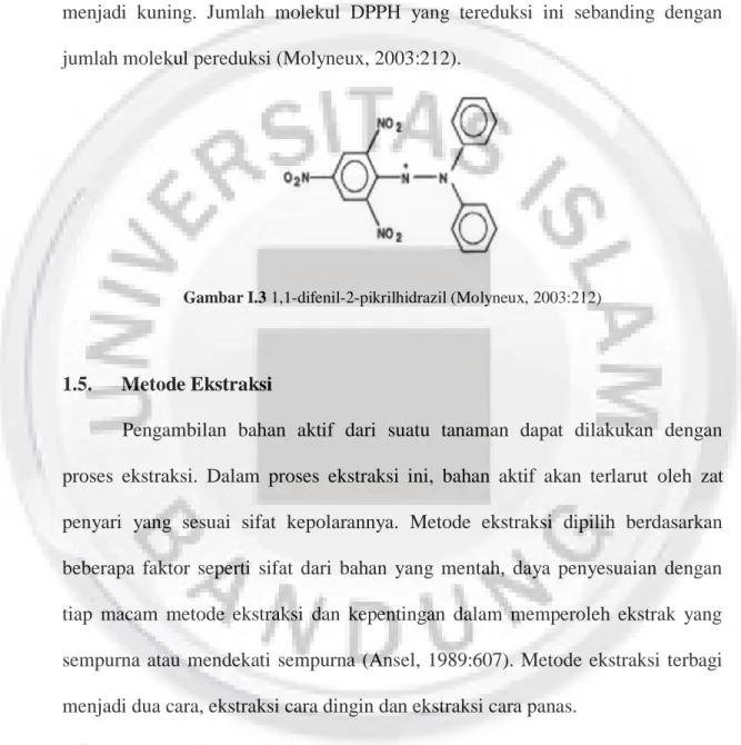 Gambar I.3 1,1-difenil-2-pikrilhidrazil (Molyneux, 2003:212) 