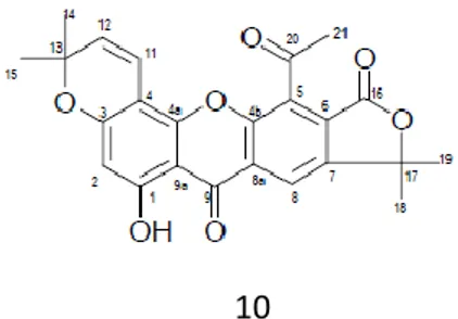 Gambar  1.  Struktur  senyawa  yang  telah  diisolasi  dari  Artocarpus  communis  J.R.&amp;G