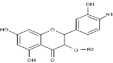 Gambar 4. Struktur umum senyawa flavonoid 