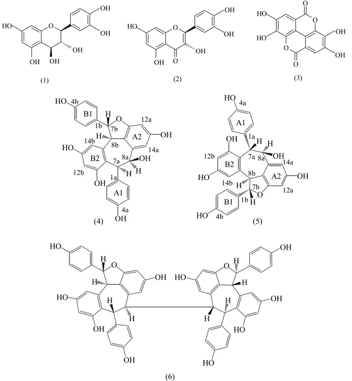 Gambar 1. Struktur senyawa kimia yang diisolasi