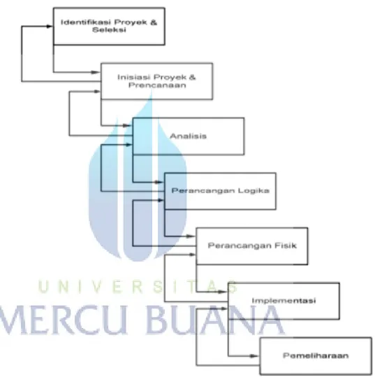 Gambar 2.2 SDLC [Adi Nugroho,2012:41] 