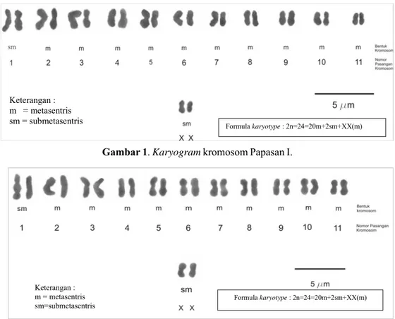 Gambar 1. Karyogram kromosom Papasan I.