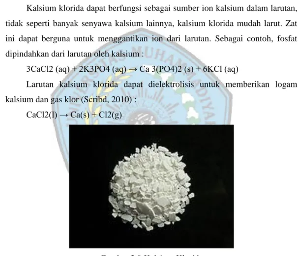 Gambar 2.9 Kalsium Klorida 