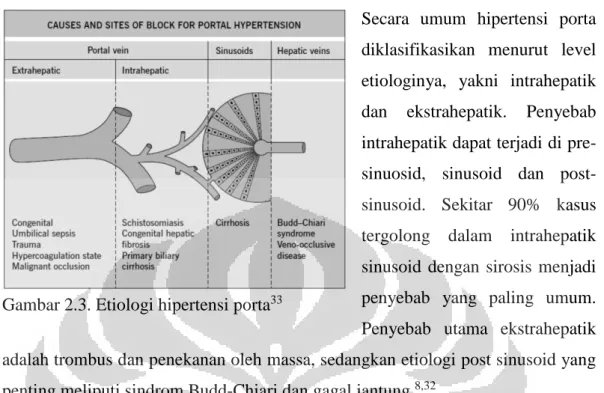Gambar 2.4. Klasifikasi varises esofagus 7Gambar 2.3. Etiologi hipertensi porta33