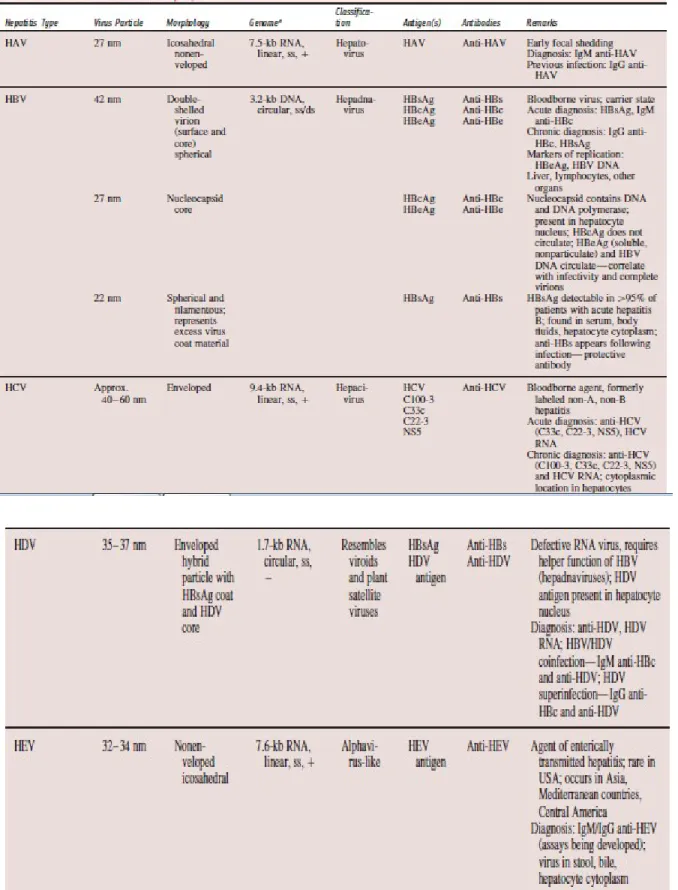 Tabel 1: Perbedaan antara hepatitis A, B, C, D, dan E