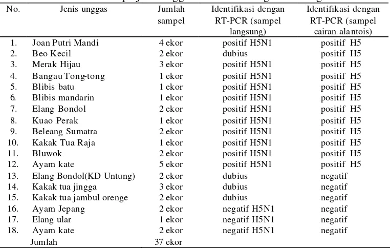 Tabel 2 Hasil identifikasi virus Flu Burung sampel swab kloaka 5-6 September 2005 dari beberapa jenis unggas di Taman Margasatwa Ragunan 