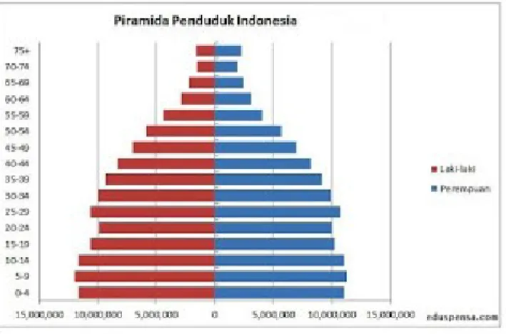 Gambar III.3 Piramida Penduduk Muda