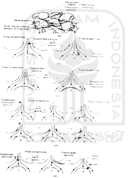 Gambar 10. Skema Mekanisme Removal Pada Media Butiran Sumber: Metcalf &amp; Eddy, 1991