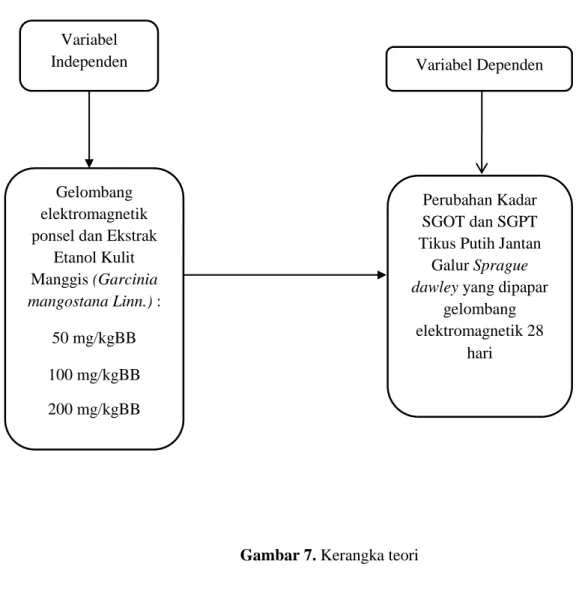 Gambar 7. Kerangka teori 