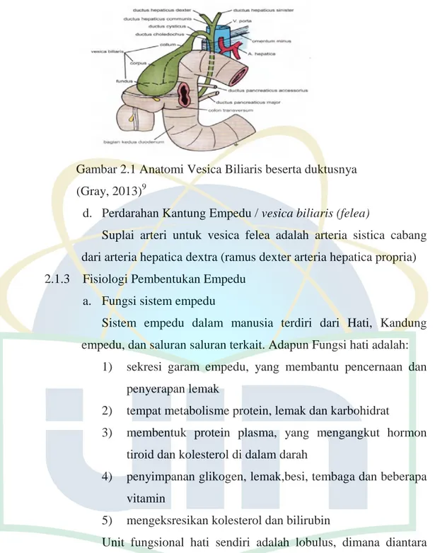 Gambar 2.1 Anatomi Vesica Biliaris beserta duktusnya            (Gray, 2013) 9                                                                   