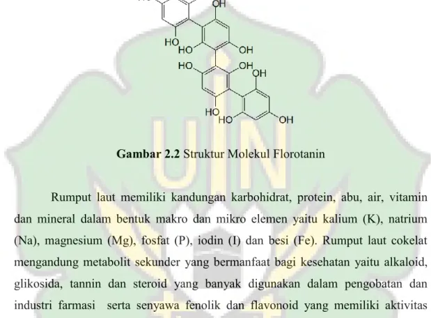 Gambar 2.2 Struktur Molekul Florotanin 