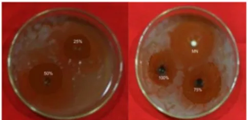 Gambar 2. Grafik Yang Menunjukan Rata-Rata Zona Hambat Ekstrak Daun Serehwangi  (Cymbopogon nardus L.) Terhadap Pertumbuhan Jamur Candida albicans
