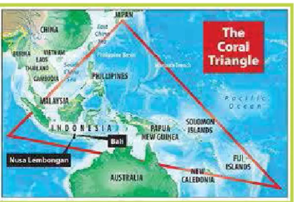 Gambar 1. Wilayah segitiga karang yang  melintas di enam Negara termasuk Indonesia  (Sumber: http://www.csmonitor.com/